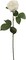 Rose Bud Stem - 48-Pack, Realistic Silk Foliage, Lifelike Blooms, Perfect for Floral Arrangements, Events & Home Décor - Ideal for All Seasons, Floral Home by Artificial Flowers